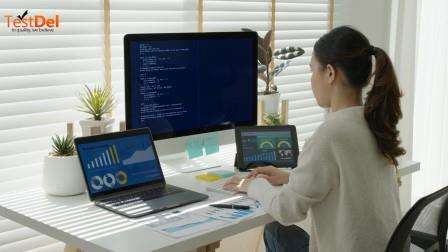 Software Testing: A Waste of Time or a Valuable Resource?