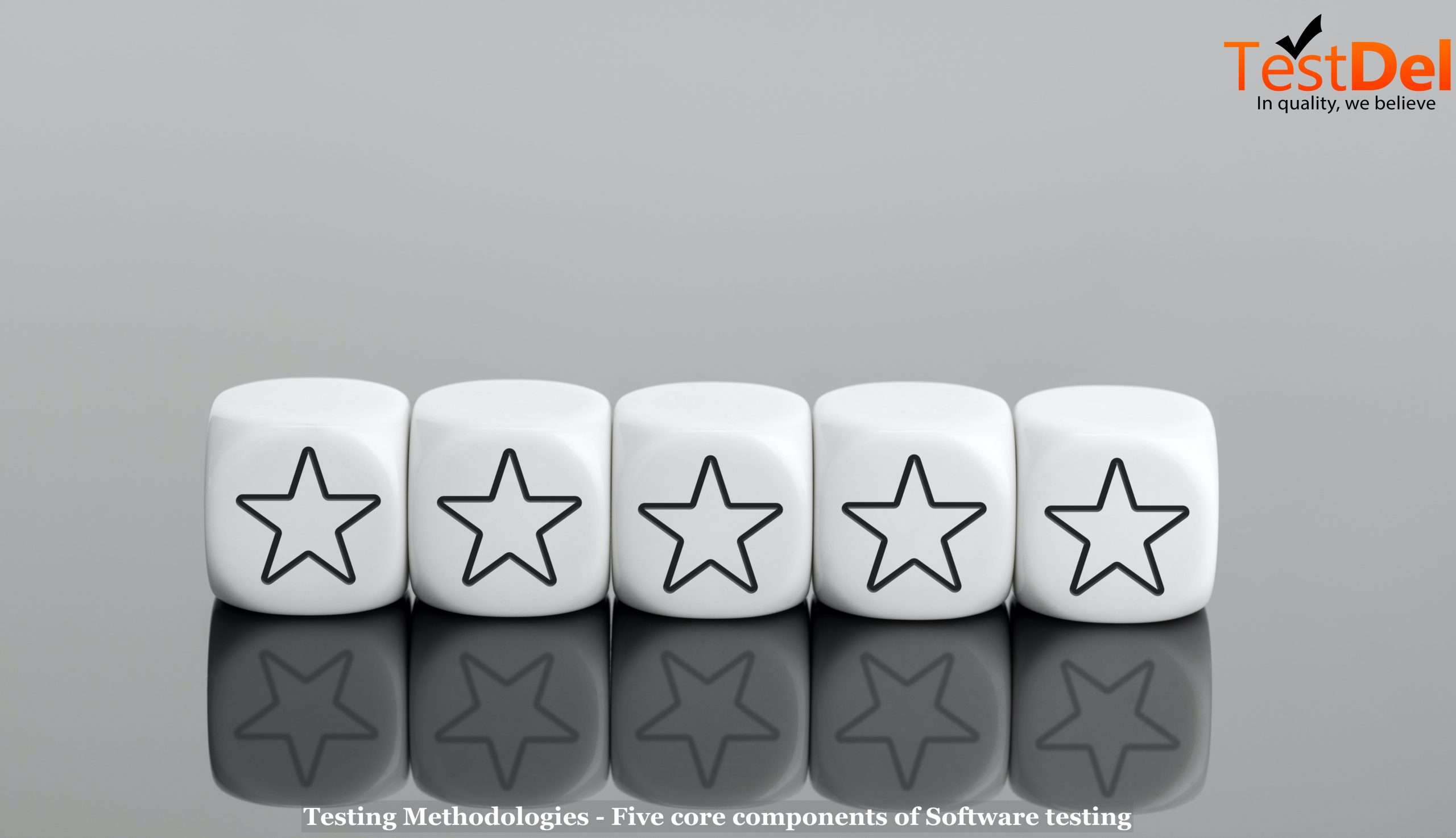 Software Testing Methodologies: The Five Core Components of Testing 